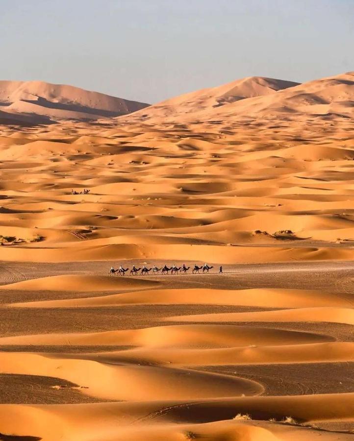 مرزوكة Sahara Desert Experience Camp المظهر الخارجي الصورة